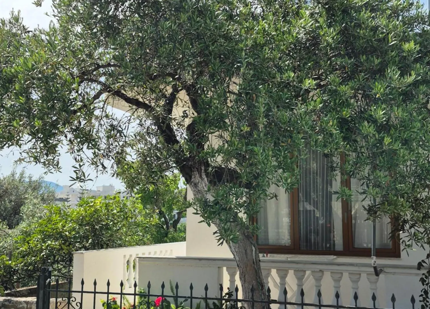 קסאמיל Vita Apartment - Spacious Garden And Balcony 5 Min To Beach & Center אלבניה